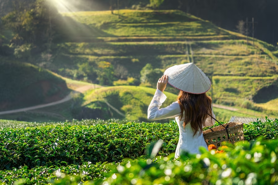 Tourism and Multifunctional Farms